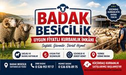 BADAK Besicilik’te Küçükbaş Kurban Satışları Başladı