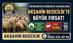 Nevşehir’de Kurbanlık Alacaklara Güvenilir Adres: Akşahin Besicilik