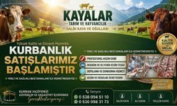 Kayalar Tarım ve Hayvancılık’ta Kurbanlık Satışları Başladı