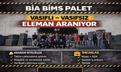 Nevşehir Bia Bims Palet'e çalışma arkadaşları aranıyor