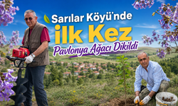 Nevşehir'in Sarılar Köyü’nde İlk Kez Pavlonya Ağacı Dikildi