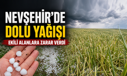 Nevşehir'de Dolu Ekili Alanları Biçti: Çiftçiler Destek Bekliyor