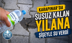 Nevşehir'de Yürek Isıtan An: Susuz Kalan Yılana Şişeyle Su Verdi