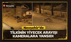 Nevşehir’de Aç Tilki Sokaklara İndi