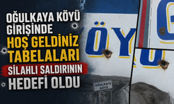 Gülşehir'de Oğulkaya Köyü Tabelasına Silahlı Saldırı