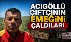 Nevşehir Acıgöl'de çiftçinin emeğini çaldılar!