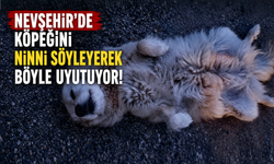 Nevşehir’de Köpeğini Ninniyle Uyutuyor