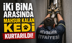 Nevşehir'de İki Bina Arasında Mahsur Kalan Yavru Kedi İtfaiye Tarafından Kurtarıldı