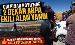 Nevşehir'de çıkan yangında 2 dekar ekili alan zarar gördü