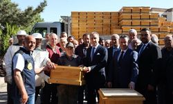 Nevşehir’de 100 Üreticiye 300 Arılı Kovan Dağıtıldı
