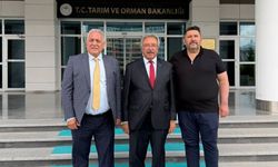 Bakan Yardımcısı Gizligider ile Avanos İçin İstişare