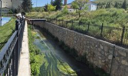Kozaklı Belediyesi’nden Haşere ve Kene ile Mücadelede Yoğun Mesai