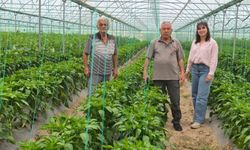 Nevşehir Çat Beldesindeki Seraya Teknik Ziyaret