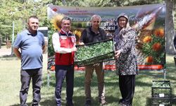 Nevşehir'de 60 Bin Karnabahar ve Brokoli Fidesi Desteği