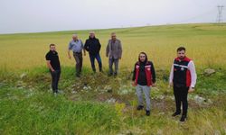 Gülşehir’de 4 Köyde Hasar Tespit Çalışması Başlatıldı