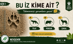 DKMP Nevşehir Doğa Tutkunlarına Sordu: "Bu İz Kime Ait?"
