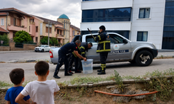 Nevşehir Güzelyurt Mahallesi’nde Yılan Paniği Yaşandı