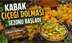 Nevşehir Mutfağının Yaz Lezzeti: Kabak Çiçeği Dolması