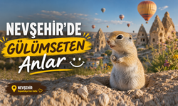 Nevşehir'de Şişko Gelengi Yuvasına Sıkıştı! O Anlar Gülümsetti