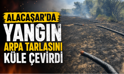 Nevşehir'de Arpa Tarlasında Yangın: 15 Dönüm Ekin Kül Oldu
