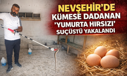 Nevşehir'de kümese dadanan 'yumurta hırsızı' suçüstü yakalandı