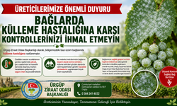 Ürgüp Ziraat Odası'ndan Bağ Üreticilerine Külleme Hastalığı Uyarısı