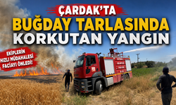 Nevşehir Çardak Köyü'nde Buğday Tarlasında Yangın