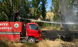 Nevşehir'in Göre Kasabasında Arazi Yangını Korkuttu