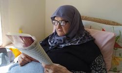 Nevşehir'de Bir Çınar Daha Hayata Veda Etti