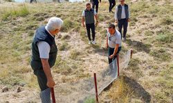 Nevşehir'de İHA rölesi ve ağaçlandırma sahaları incelendi