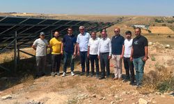 Kozaklı'da Güneş Enerjisi Santrali Hizmete Girdi