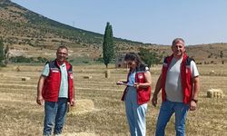Nevşehir'de Yem Bitkileri Desteklemeleri İçin Arazi Kontrolleri Sürüyor