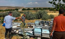 Nevşehir'de Arılı Kovan Denetimleri Aralıksız Sürüyor