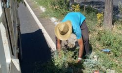 Avanos'ta Yeşil Alan ve Refüjlerde Bakım Çalışmaları Sürüyor