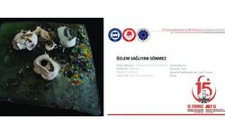 NEVÜ'lü Akademisyene Uluslararası Sanat Başarısı