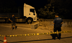 Kozaklı'da Kontrolden Çıkan TIR Bahçeye Daldı