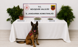 Nevşehir'de 248 Kök Kenevir, Esrar ve Sentetik Ecza Ele Geçirildi