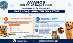 Avanos Belediyesi’nden Sokak Hayvanları İçin İhbar Çağrısı