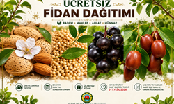 Ürgüp’te Ücretsiz Fidan Dağıtımı Yapılacak