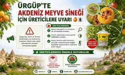 Ürgüp’te Akdeniz Meyve Sineği Alarmı! Üreticilere Uyarı