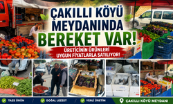Nevşehir Çakıllı'da Köy Meydanı Pazara Döndü! İşte Fiyatlar