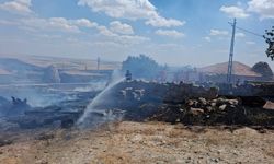 Nevşehir Hacıhalilli Köyü’nde Korkutan Yangın! Evlere Sıçramadan Söndürüldü
