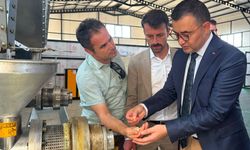 Nevşehir’de Tıbbi ve Aromatik Bitkiler İçin Önemli Yatırım