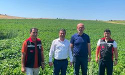 Patatesin Başkenti Nevşehir’de Bakanlık Mesaisi!