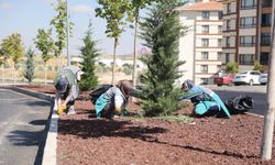 Nevşehir’de Temizlik ve Altyapı Atılımı Hizmet Hızı Kesintisiz Sürüyor