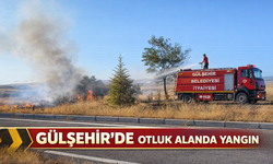 Gülşehir Havalimanı Yolunda Otluk Alan Kül Oldu