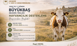 Nevşehir’de Büyükbaş Hayvancılık Destekleme Başvuruları Başladı