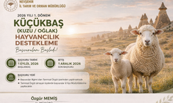 Nevşehir’de 2026 Yılı 1. Dönem Küçükbaş Hayvancılık Desteklemeleri Başladı