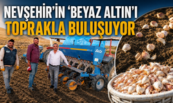 Nevşehir’de ‘Beyaz Altın’ Sarımsak İçin Ekim Sezonu Başladı