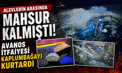Avanos’ta Yangının Ortasından Hayat Kurtardılar: İtfaiyeden Kaplumbağaya Şefkat Eli